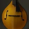 Northfield Model M NFM-A5 Mandolin – New