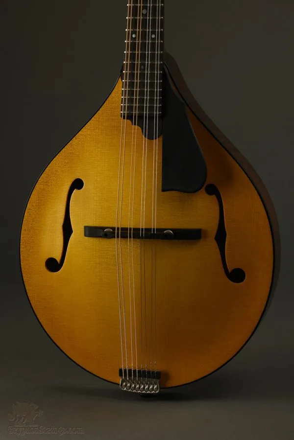 Northfield Model M NFM-A5 Mandolin – New