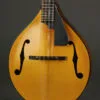 Northfield Model M NFM-A5 Mandolin – New