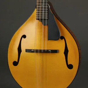 Northfield Model M NFM-A5 Mandolin – New