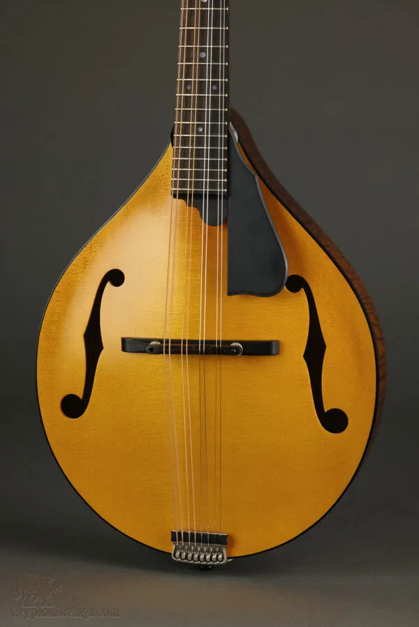 Northfield Model M NFM-A5 Mandolin – New