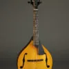 Northfield Model M NFM-A5 Mandolin – New