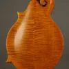 Northfield S Series NFS-F5EWN Engelmann Wide Nut Amber Mandolin – New