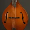 Northfield The Quickstep NFM-M5 Mandola – New