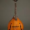 Northfield The Quickstep NFM-M5 Mandola – New