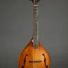 Northfield The WaveLength Octave NFO-AT3 Ox Amber Mandolin – New