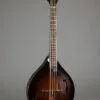 Northfield The WaveLength Shortscale Archtop Octave Dark Leatherburst Mandolin – New