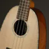 Ohana PKC-70G Concert Ukulele – New