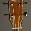 Ohana PKC-70G Concert Ukulele – New