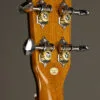 Ohana PKC-70G Concert Ukulele – New