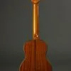Ohana TK-250G Limited Edition Tenor Ukulele New
