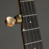 OME Jasmine 12″ Limited Edition 5-String Open Back Banjo with Mahogany Neck – New