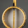 Orpheum No. 1 Tenor Banjo – Used