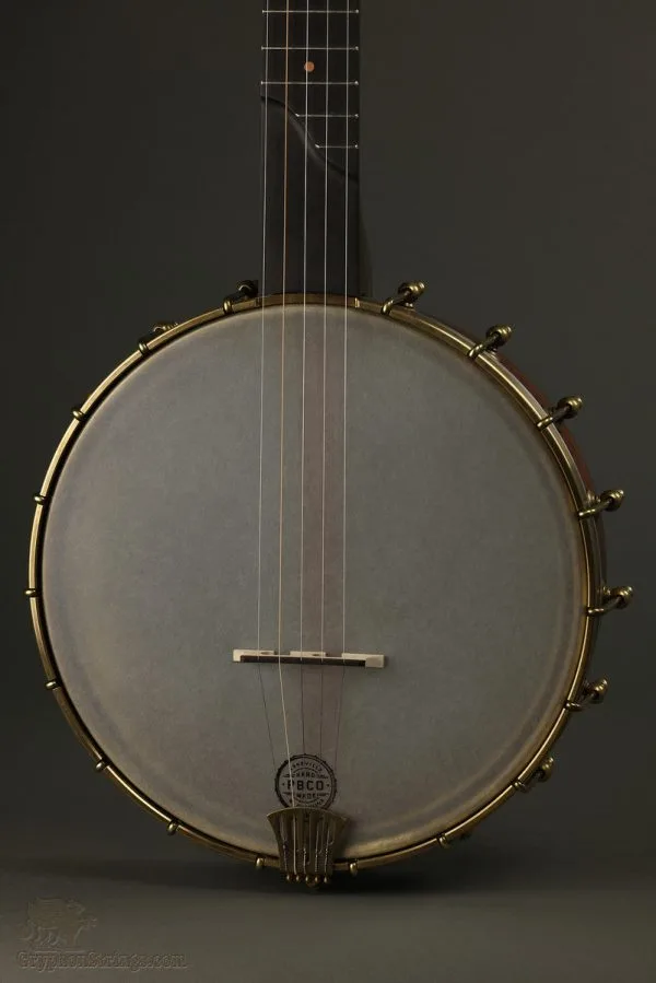 Pisgah 11″ Tubaphone 5 String Banjo New