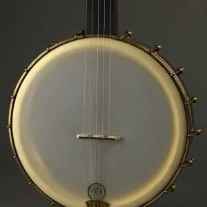 Pisgah 12″ Dobson Professional Short Scale 5-String Banjo New