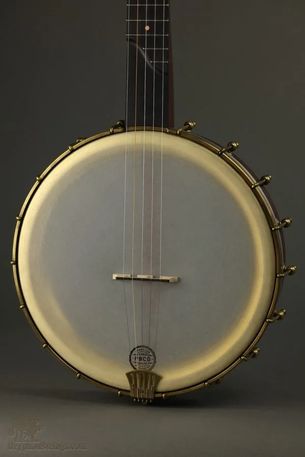 Pisgah 12″ Dobson Professional Short Scale 5-String Banjo New
