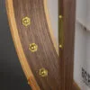 Pisgah 12″ Possum Walnut Standard Scale 5-String Banjo – New