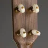 Pisgah 12″ Possum Walnut Standard Scale 5-String Banjo – New