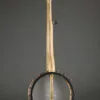Pisgah 12″ Roscoe 5-String Banjo – New