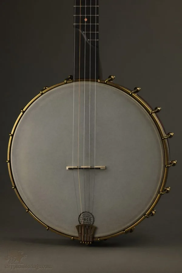 Pisgah 12″ Tubaphone Short Scale 5 String Banjo New