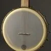 Pisgah Banjo 12″ Dobson, Maple, Standard Scale New
