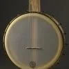 Pisgah Banjo 12″ Dobson, Maple, Standard Scale New