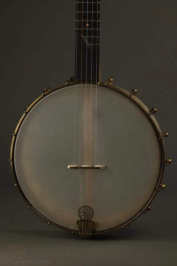 Pisgah Banjo Co. 12″ Laydie Curly Maple – New