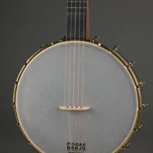 Pisgah Banjo Co. 12″ Woodchuck 5-String – New