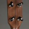 Pisgah Banjo Co. 12″ Woodchuck 5-String – New