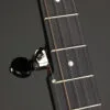 Pisgah Banjo Co. 12″ Woodchuck 5-String – New