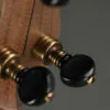 Pisgah Banjo Co. Rambler Dobson Special 11″ Brass Spun Rim, Walnut Neck, SRT scale – New