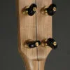 Pisgah Dobson 12″, Cherry, Short Scale, 5-String Banjo – New