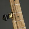 Pisgah Dobson 12″, Cherry, Short Scale, 5-String Banjo – New