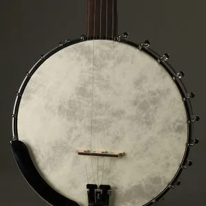 Recording King Madison RK-OT25-BR Open Back Banjo New