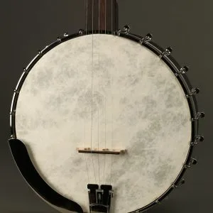 Recording King Madison RK-OT25-BR Open Back Banjo New
