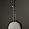 Recording King Madison RK-R35-BR 5 String New