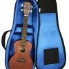 Reunion Blues RBX Concert Ukulele Gig Bag