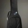 Reunion Blues RBX/Semi Hollow Guitar Gig bag