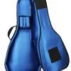 Reunion Blues RBX/Semi Hollow Guitar Gig bag