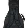 Reunion Blues RBX/Semi Hollow Guitar Gig bag