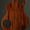 Rick Turner Guitars Renaissance RS6 New