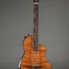 Rick Turner Renaissance RN6 Comfort Carve 2026 Nylon String Guitar – New