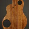 Rick Turner Renaissance RN6 Standard Nylon String Guitar – New