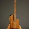 Rick Turner Renaissance RN6 Standard Nylon String Guitar – New