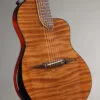 Rick Turner Renaissance RS6 Comfort Carve Acoustic Electric Guitar – New
