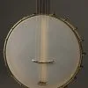 Rickard Whyte Laydie 11-Inch Five-String Banjo New