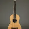 Santa Cruz Guitar Co. PJ Parlor-Style Steel String Acoustic Guitar – New