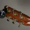 Snark Rechargeble Tuner All Instruments