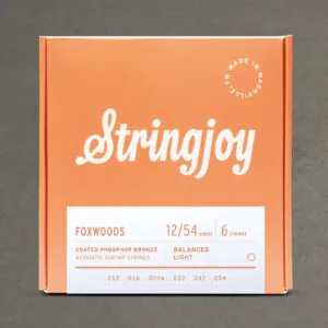 Stringjoy Foxwoods | Light Gauge (12-54) Coated Phosphor Bronze Acoustic Guitar Strings
