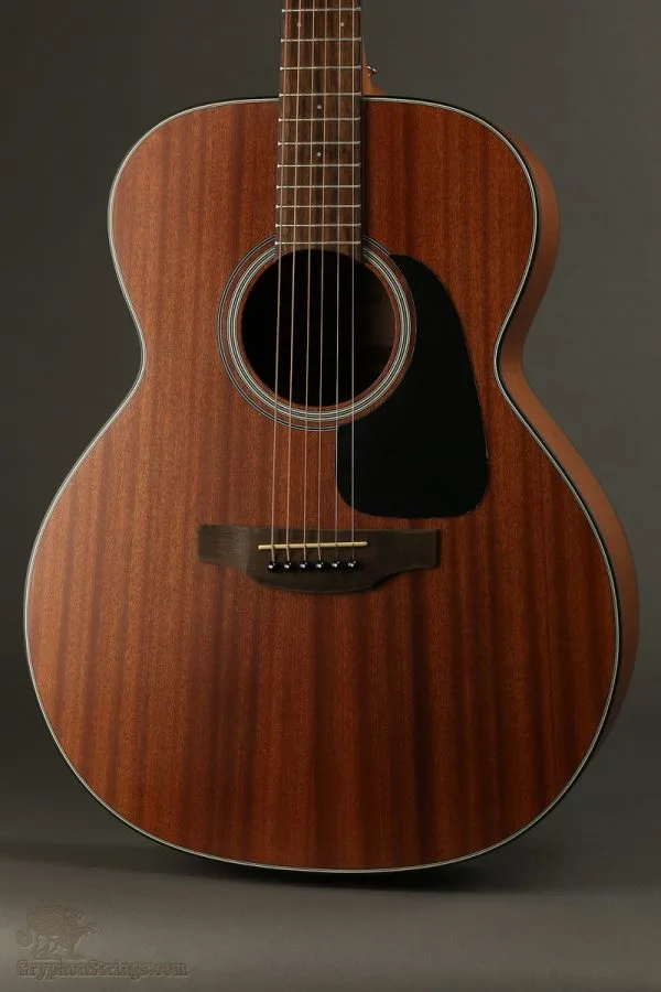 Takamine GN11M NS Steel String Acoustic Guitar New
